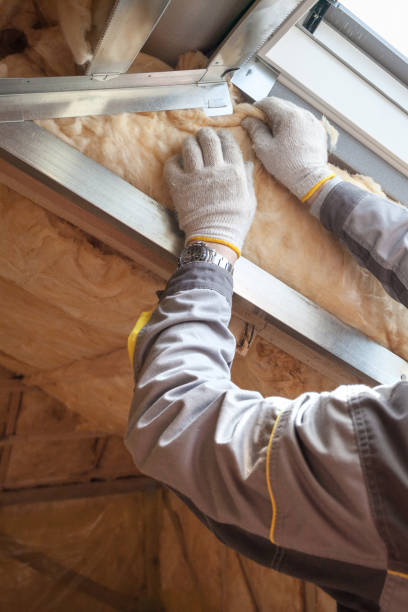Best Residential Insulation in Warsaw, MO