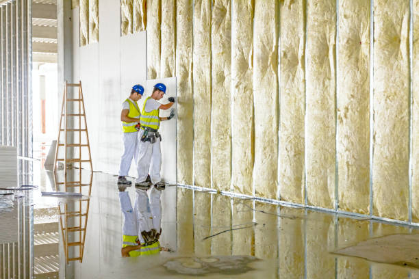 Best Commercial Insulation in Warsaw, MO